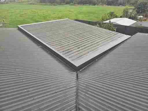 roof repairs hamilton