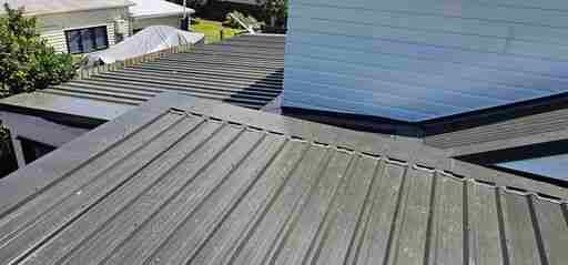 roof restoration service hamilton