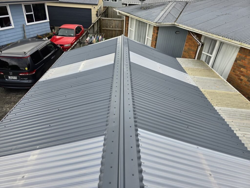New long run iron and clear sheets on the garage roof