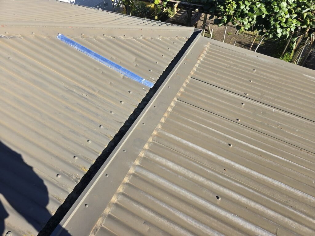 Faded brown roofing iron in Morrinsville before the reroof