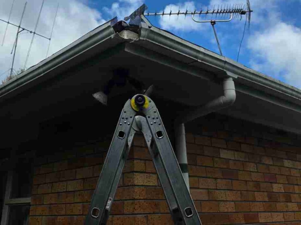 Failed spouting corner and downpipe outlet before repair