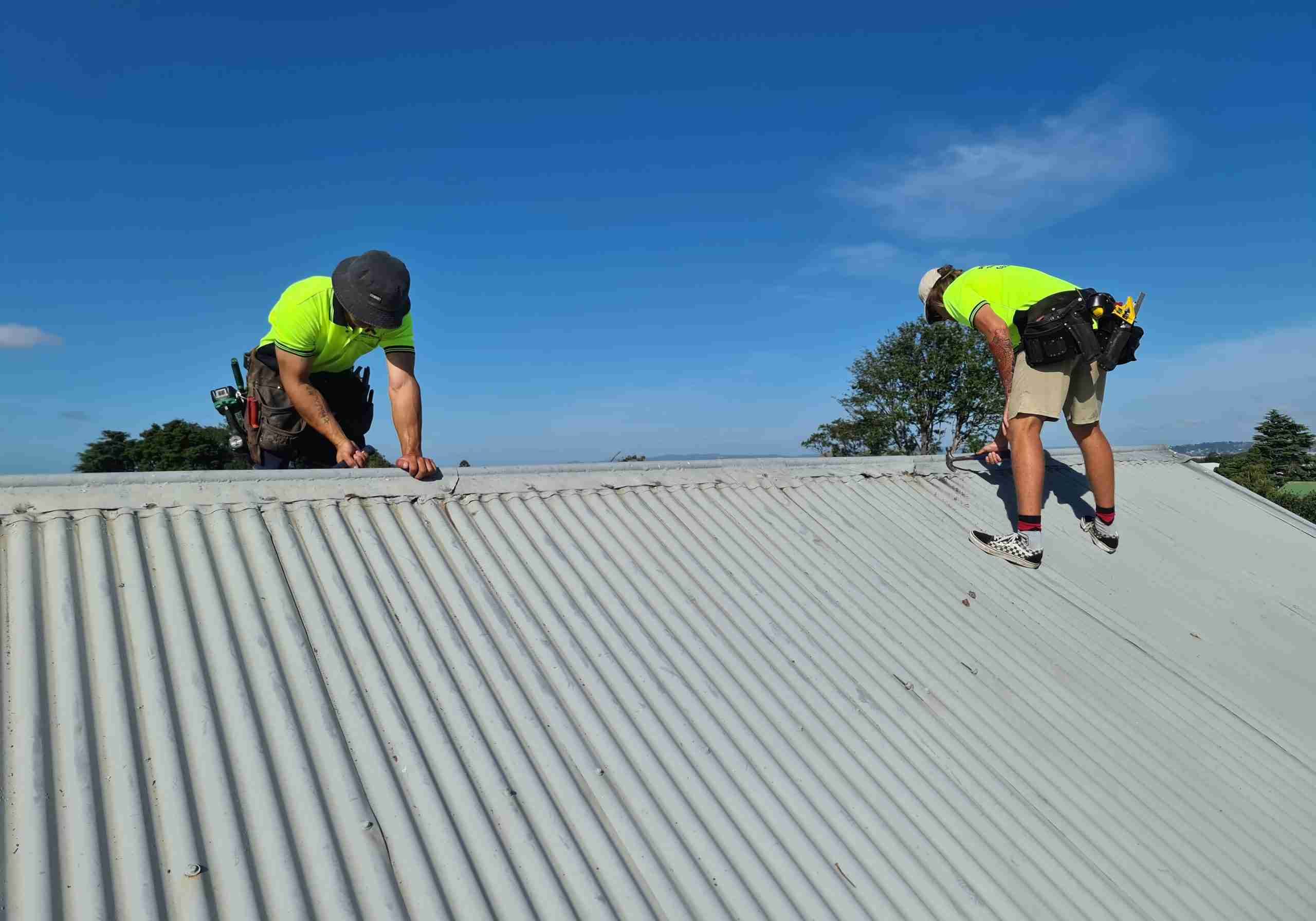 roofing hamilton