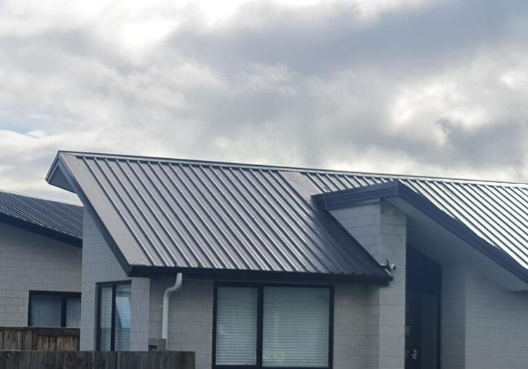 roofing hamilton