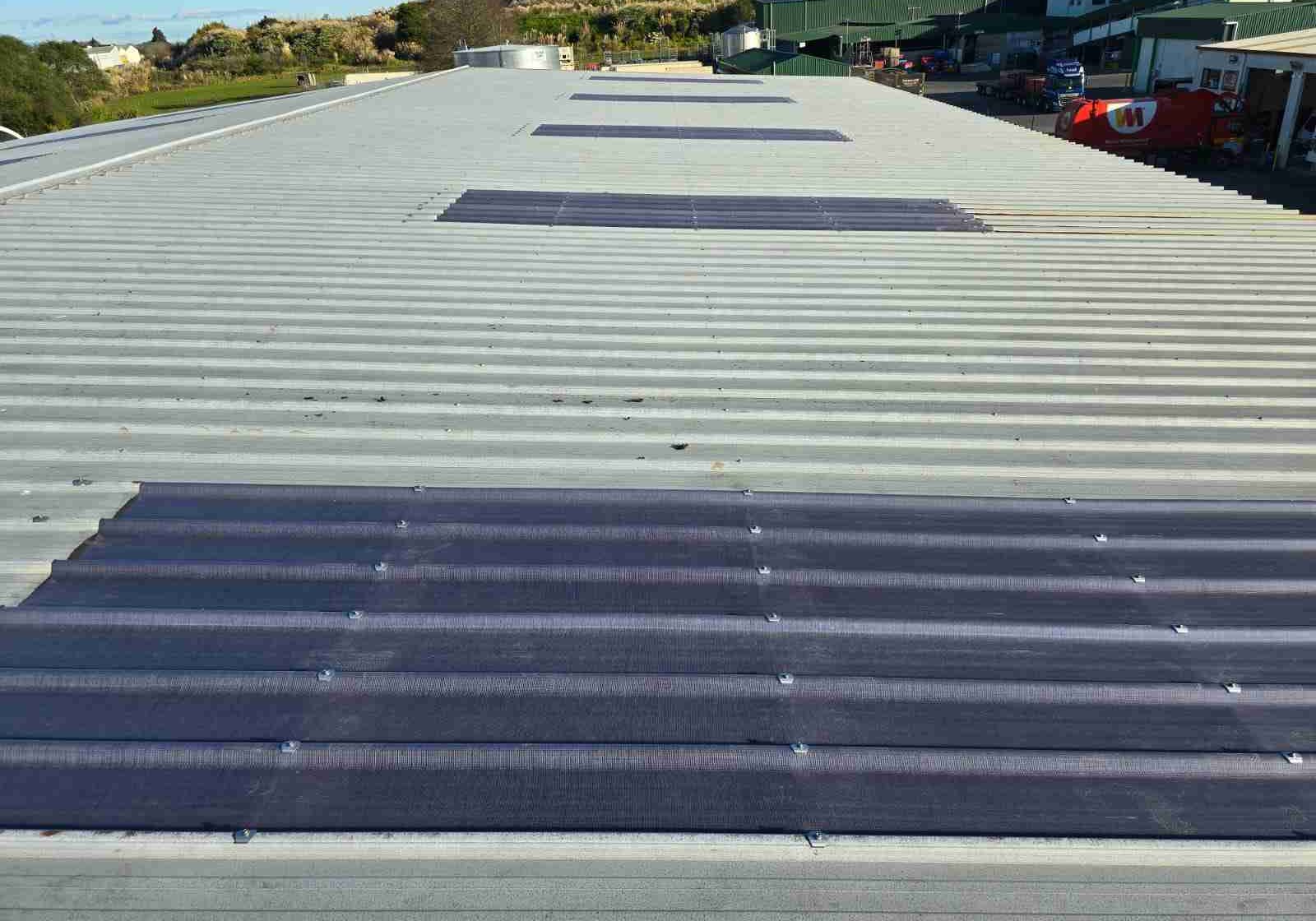roofing near pukete