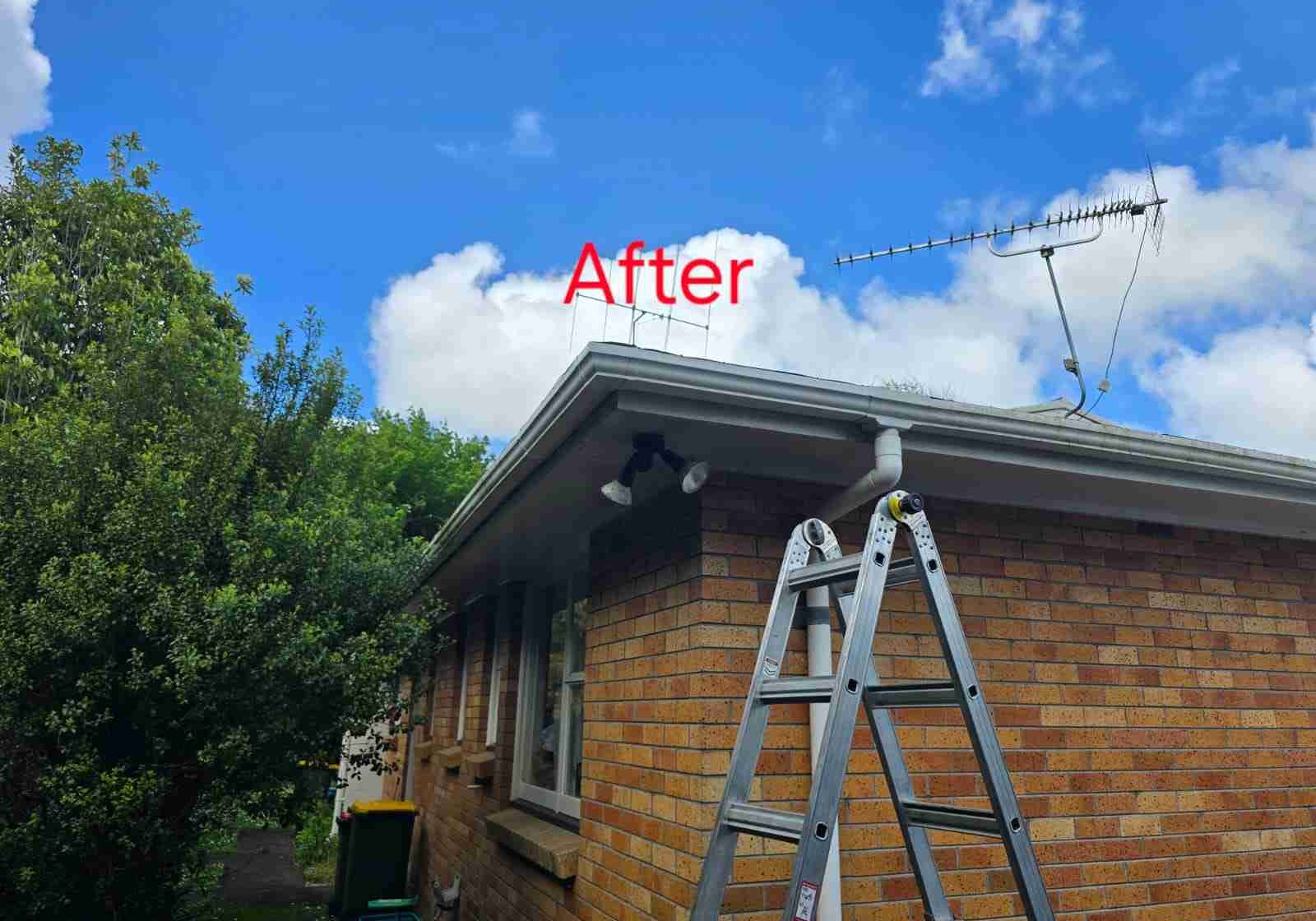roofing near rototuna